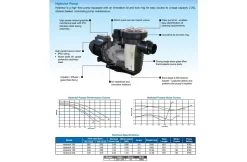 Lacron Waterco Hydrotuf Zwembadpomp 1.25 Pk 220V -Hayward Winkel lacron waterco hydrotuf zwembadpomp 125 pk 220v 2