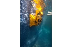Maytronics Dolphin Dolphin Wave 100 Zwembadrobot 7 Maytronics Dolphin Dolphin Wave 100 Zwembadrobot -Hayward Winkel maytronics dolphin dolphin wave 100 zwembadrobot 1