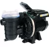Pentair Sta-Rite Zwembadpomp Type S5P2R VS2