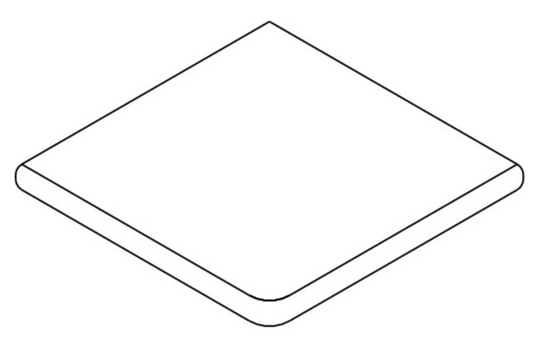 Terato Buitenhoek Asian Blue Afgeronde Neus 2 Terato Buitenhoek Asian Blue Afgeronde Neus - Afbeelding 2