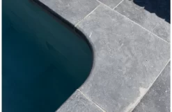 Terato Buitenhoek Asian Blue Afgeronde Neus 7 Terato Buitenhoek Asian Blue Afgeronde Neus -Hayward Winkel terato buitenhoek asian blue afgeronde neus 3