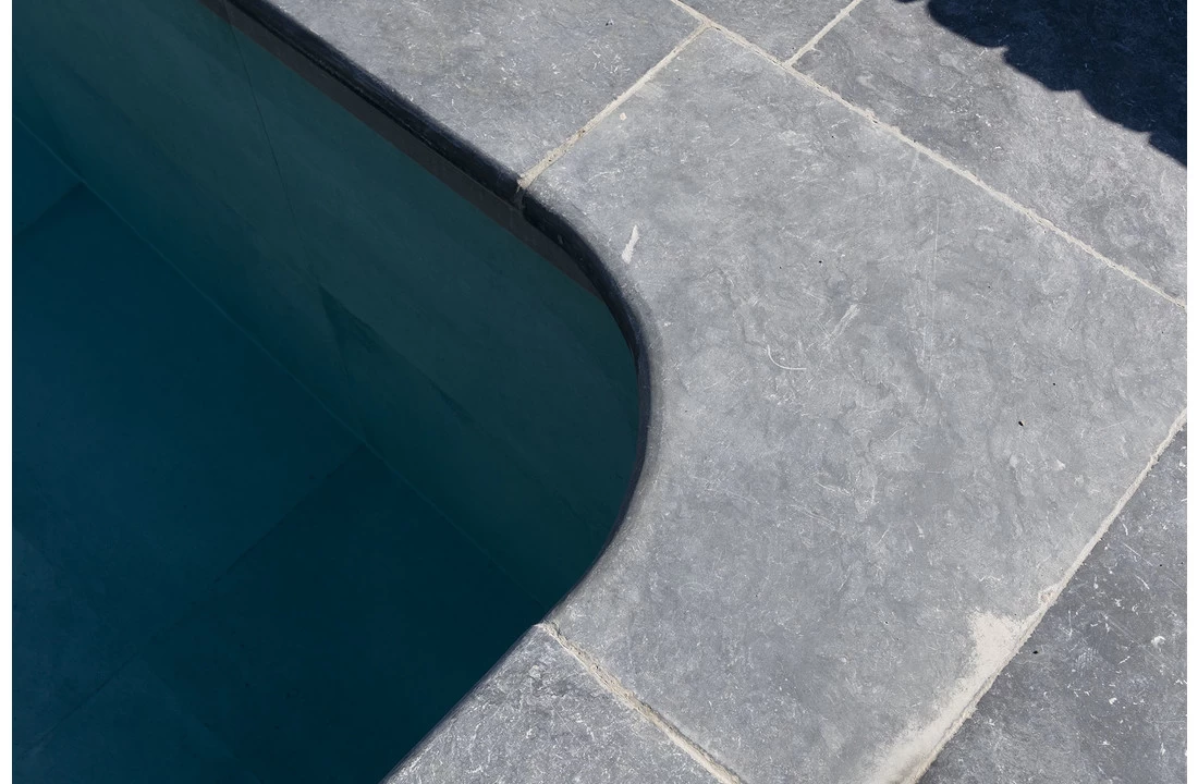 Terato Buitenhoek Asian Blue Afgeronde Neus 4 Terato Buitenhoek Asian Blue Afgeronde Neus - Afbeelding 4