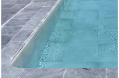 Terato Randsteen Rechte Neus - Asian Blue -Hayward Winkel terato randsteen rechte neus asian blue 1